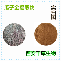 瓜子金提取物 瓜子金浓缩粉 瓜子金浸膏粉生产浸膏