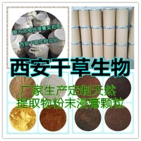 大果提取物 厂家生产植物提取物定做大果浸膏颗粒
