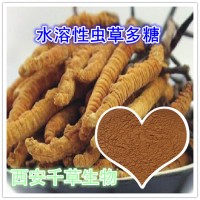 水溶性虫草多糖浓缩粉厂家生产植物提取物 定做流浸膏 颗粒