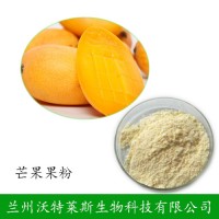 现货供应 芒果粉 芒果果粉 速溶芒果粉 质量保证