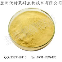 水解蛋黄粉   大量库存  蛋黄速溶粉