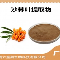 沙棘叶提取物 沙棘叶粉 植物提取物