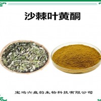 沙棘叶提取物 沙棘叶黄酮 厂家供应