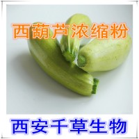 西葫芦浓缩汁粉 西葫芦提取物 厂家生产提取物 定做流浸膏颗粒