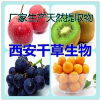 西芹浓缩粉 厂家生产水溶性植物提取物流浸膏
