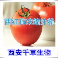 西红柿浓缩汁粉西红柿提取物厂家生产植物提取物西红柿粉