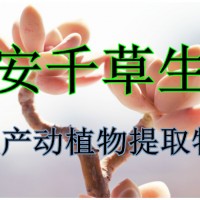 竹茹提取物 厂家生产竹茹易溶粉