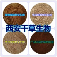 大蓟提取物易溶 厂家生产浓缩植物提取物 定做流浸膏