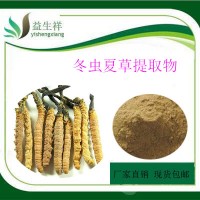 冬虫夏草提取物 蛹虫草粉 虫草多糖10% 量大优惠