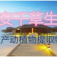 诃子提取物易溶 厂家生产植物提取物定做诃子浓缩浸膏