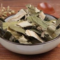 荷叶粉 荷叶浸膏粉 10:1 药食同源 OEM代工