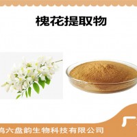 槐花提取物 槐花粉 药食同源原料