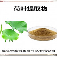 荷叶提取物 荷叶粉 药食同源原料