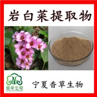 岩白菜提取物 岩白菜素98% 石白菜提取物 虎耳草素厂家包邮