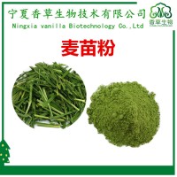 小麦苗提取物厂家供应 小麦苗提取液 麦苗多糖 麦苗粉