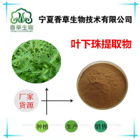 叶下珠提取物 假油甘浸膏粉批发 含羞草黄酮10%龙珠草浓缩液