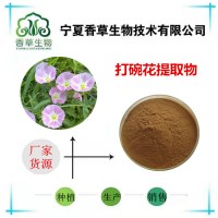 打碗花提取物 钩耳藤浸膏粉 浓缩液厂家批发 蒲地参多糖30%