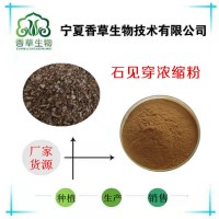 石见穿提取物 华鼠尾草粉原料供应 石见穿茎叶浸膏厂家批发