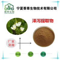 泽泻提取物 泽泻粉批发 泽芝浓缩液 泽泻叶提取物 泽泻粉供应