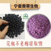 黑果腺肋花楸果粉批发黑果花楸提取物花青素25%不老梅浓缩汁粉