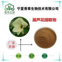 漏芦花提取物浸膏粉厂家供应 中药材漏芦根提取物 总黄酮10%