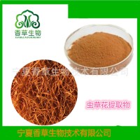 虫草菌丝粉虫草多糖50%虫草花提取物虫草菌素OEM代加工