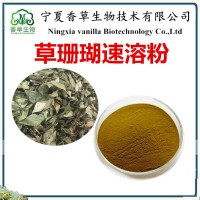 草珊瑚根提取物SC厂家供应 草珊瑚提取液 草珊瑚速溶粉