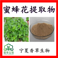 蜜蜂花提取物 迷迭香酸2%批发 香蜂草粉 薄荷香脂提取物
