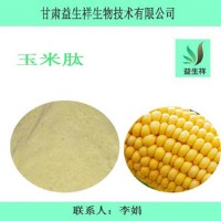玉米肽  玉米低肽粉 小分子玉米蛋白