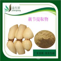 藕节提取物 藕节巴提取物 10:1水溶性提取物 莲藕粉