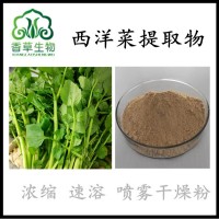西洋菜提取物西洋菜粉豆瓣菜提取物厂家