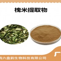 槐米提取物 槐米粉 药食同源原料