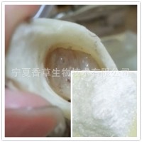 羊骨髓多肽85%羊骨髓肽粉 羊骨提取物20：1