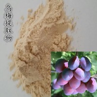 青梅提取物速溶青梅粉乌梅提取物乌梅粉