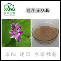 葛花提取物葛花速溶粉葛花黄酮葛根花提取物