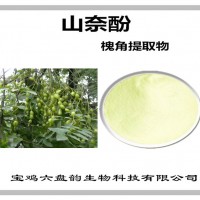 槐角提取物 山奈酚 植物提取物