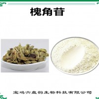 槐角提取物 槐角苷/甙 植物提取物