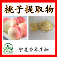 桃子提取物水溶桃子粉桃子浓缩液