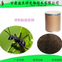 黑蚂蚁提取物 10:1 黑蚂蚁粉   一公斤起订