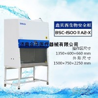 【二级生物安全柜】-博科生物安全柜价格||型号||厂家