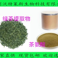 茶氨酸 98%L-茶氨酸 绿茶提取物 现货包邮