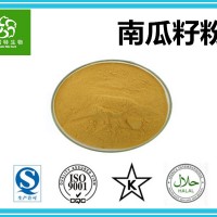 南瓜籽粉 南瓜子提取物 南瓜子蛋白 水溶性 厂家批发