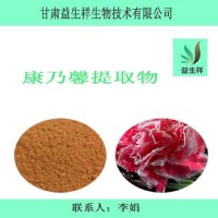 康乃馨提取物  益生祥 康乃馨 粉  量大从优