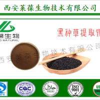 黑种草提取物 1%-10%百里醌 植物提取物系列
