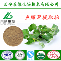 鱼腥草提取物,鱼腥草粉,鱼腥草生产厂家