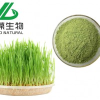 小麦苗粉,小麦苗粉,小麦草粉,小麦苗粉固体饮料