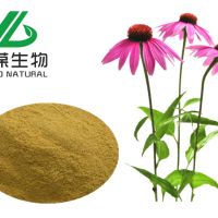紫锥菊提取物 紫锥菊多酚 菊苣酸 紫锥菊比例提取物