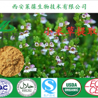 小米草提取物 小米草比例提取物 植物提取物生产厂家