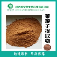 厂家现货供应莱菔子提取物莱菔子粉10:1标准比例萃取