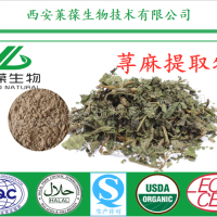 荨麻提取物 荨麻比例提取物 β-谷甾醇 植物提取物系列